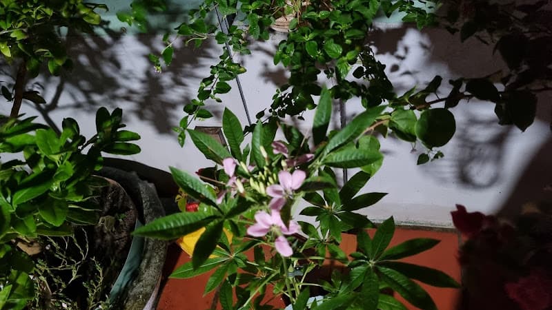 Hình ảnh Quán Cháo Lươn - 3