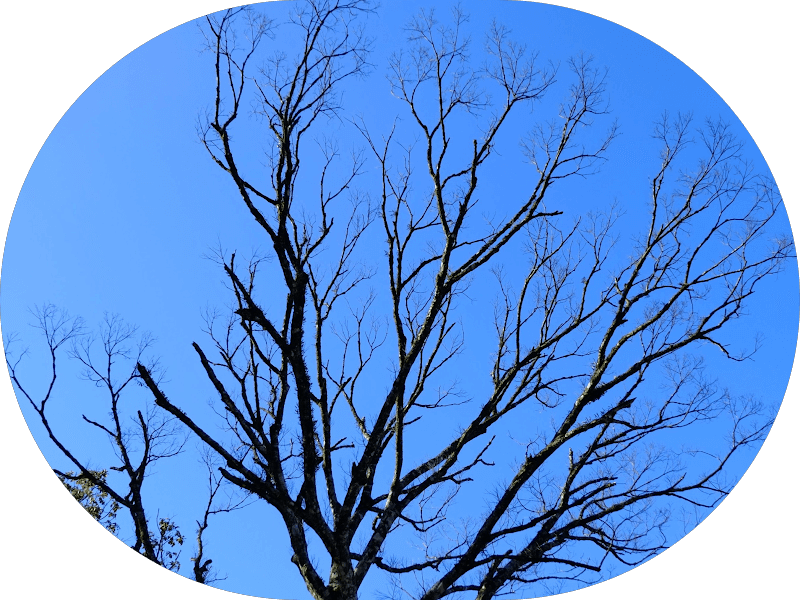 Ảnh bìa Giặt sấy Hường Tuyển