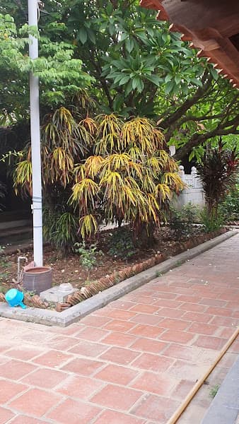 Hình ảnh Chùa Bút Tháp - 3