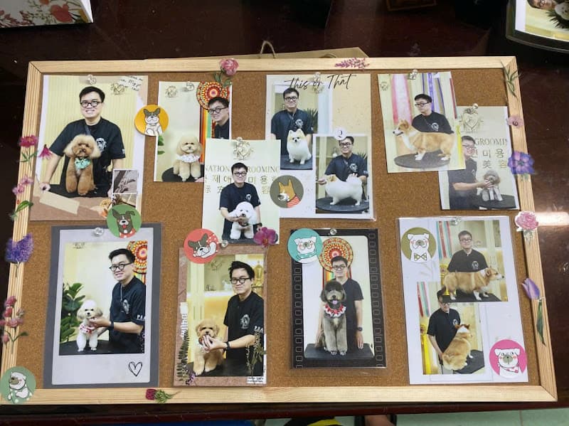 Hình ảnh Pet shop Thanh Tùng - Spa & Cắt tỉa chó mèo - 2