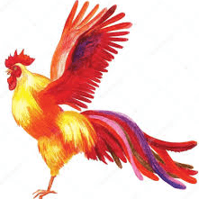 Hình ảnh Sân Pickleball mái che HXR - 5