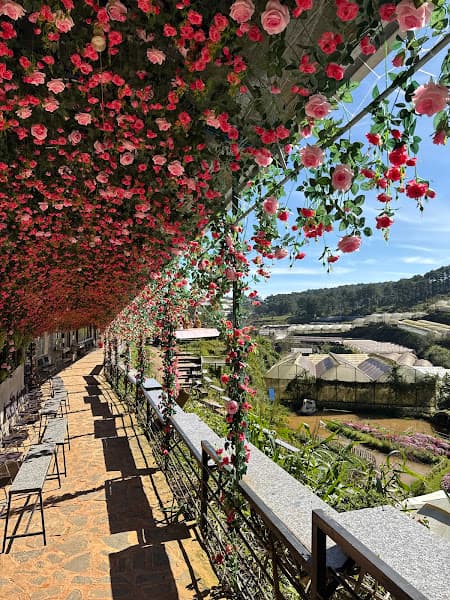 Hình ảnh Pink Valley Đà Lạt - 2