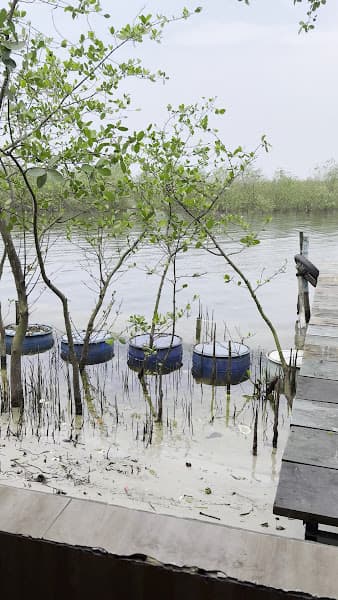 Hình ảnh Nhà hàng Tam giang hội quán - 3