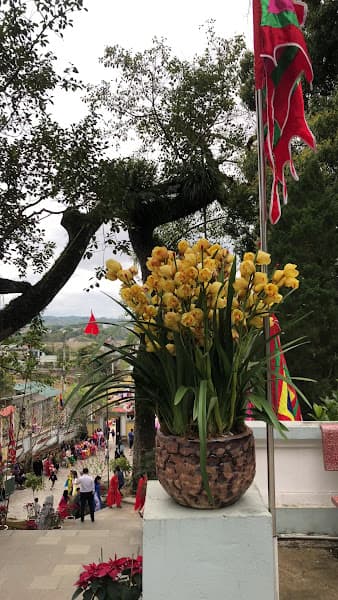 Hình ảnh Đền Kỳ Sầm - 4