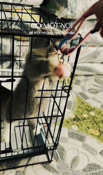 Hình ảnh Trung tâm Thú Cưng Biên Hoà - 2