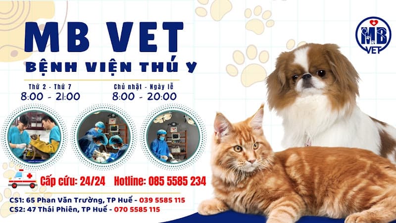 Ảnh bìa Bệnh Viện Thú Y MB VET HUE