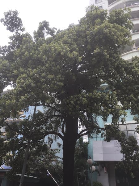 Ảnh bìa Techcombank - Atm