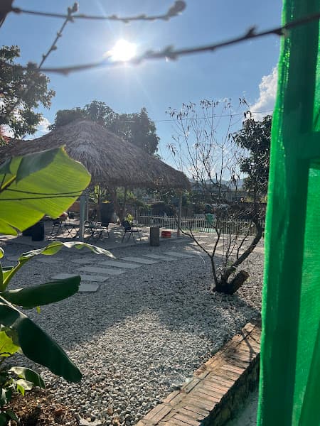 Hình ảnh Tiền Phong Pickleball - 7