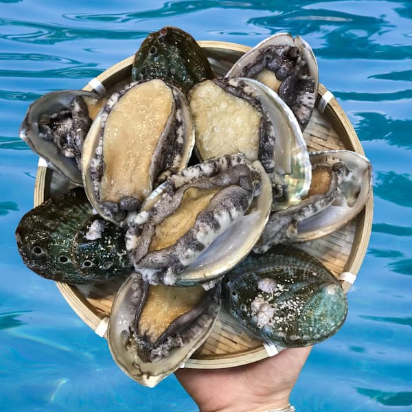 Hình ảnh HỆ THỐNG VỰA HẢI SẢN LỘC - CN VĨNH LONG - 3