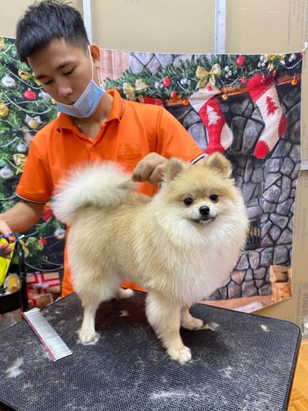 Hình ảnh Phòng Khám Thú Y - Petshop Hùng Vet - 2