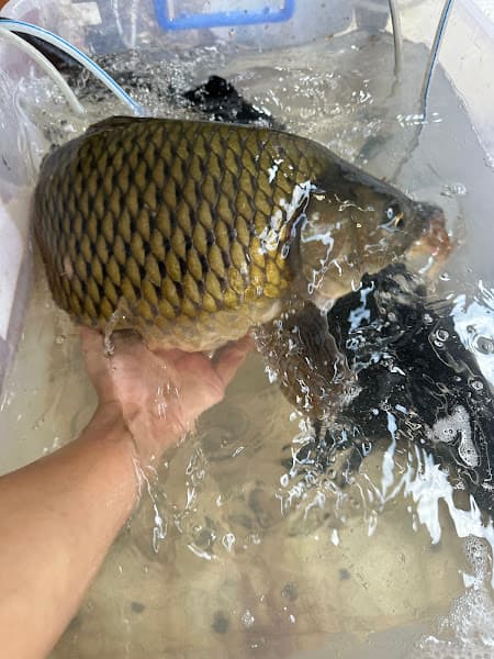 Hình ảnh Thuỷ Hải Sản Tuyến Thuý - 2