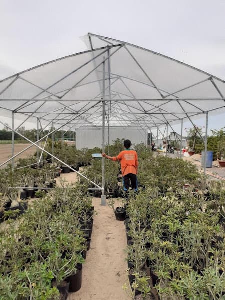 Hình ảnh Cửa hàng vật tư nông nghiệp Xuân Nông - Cty Xuân Nông - 5