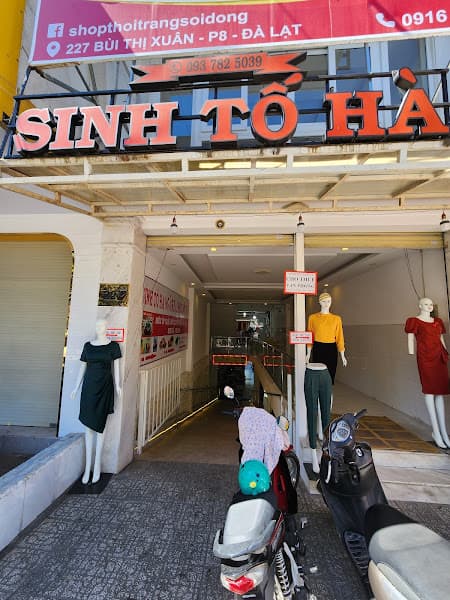 Ảnh bìa Sinh Tố HÀ