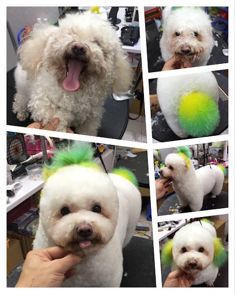 Hình ảnh LuBu PetStore - Siêu thị & Spa thú cưng - 5