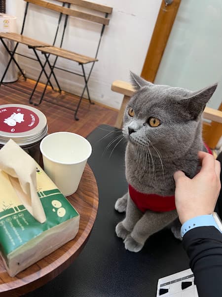 Ảnh bìa Ankyo Hair