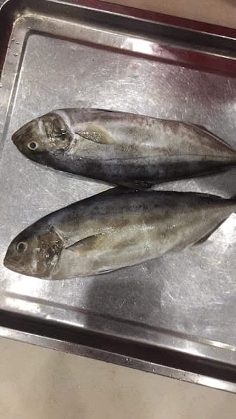 Hình ảnh Nhà Hàng Thủy Đơ - 8