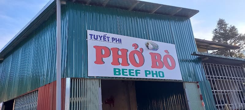 Ảnh bìa TUYÊT PHI PHO BO