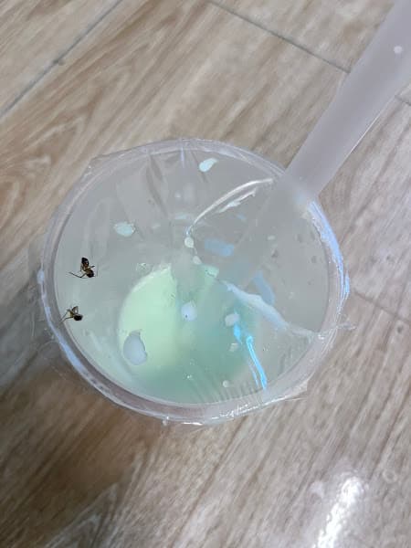 Hình ảnh TRÀ SỮA BABO GO LÀO CAI - 2