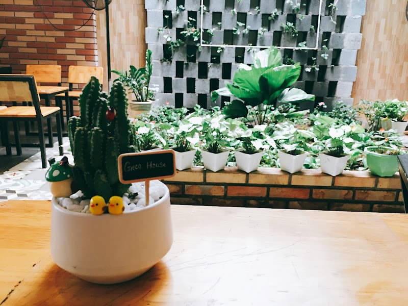 Hình ảnh Green House Coffe - 3