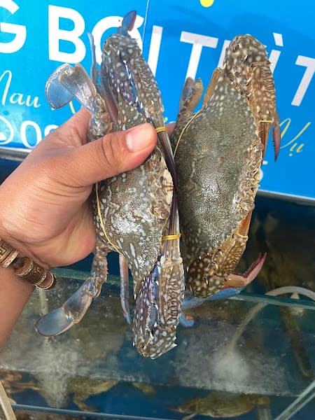 Vựa Hải Sản Cà Mau