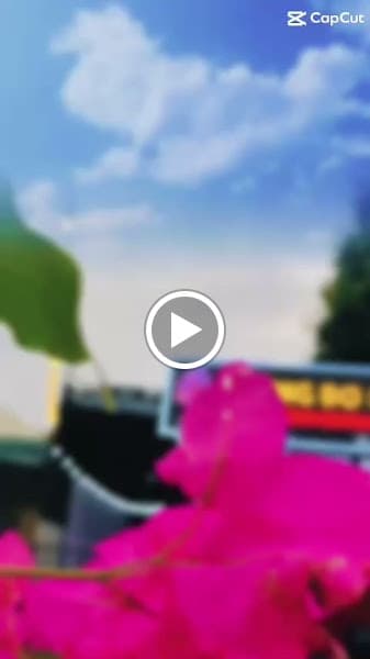 Hình ảnh Nướng Bơ Dee - Hồ Nam Hào - Lẫu & Nướng bơ Hàn Quốc - 3