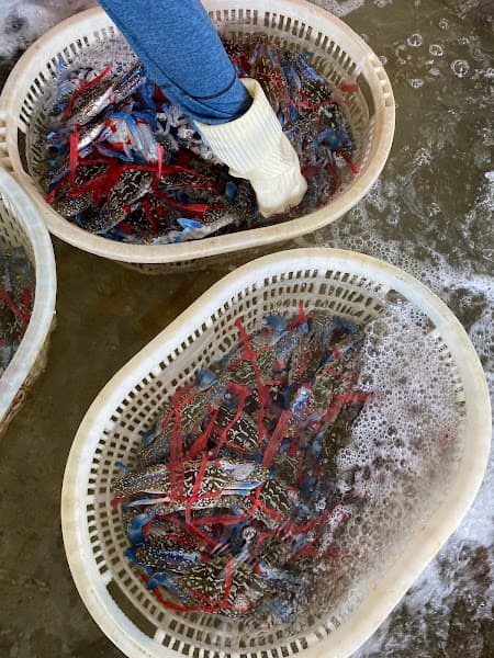 Ảnh bìa Đại lý Hải Sản Vinh Tranh