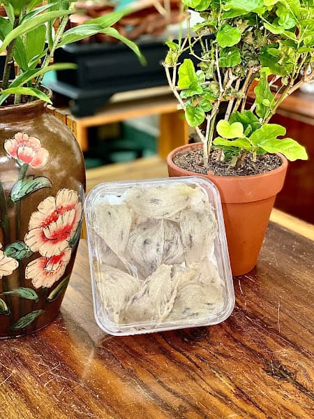 Hình ảnh Yến Sào Quốc Bảo - Yến Sào Đà Nẵng - Nhà Yến Đà Nẵng -Yến Chưng Đà Nẵng - Yến Sào chất lượng cao nguyên chất Đà Nẵng - 5