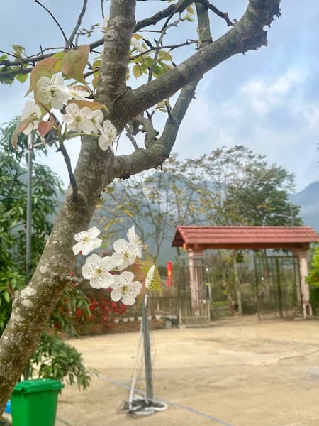 Hình ảnh Bờ hồ Homestay - 9