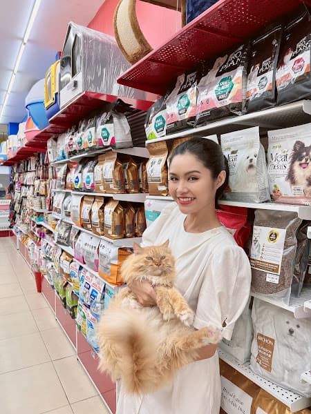 Hình ảnh Pet Hotel - Khách sạn trông giữ chó mèo Hà Nội - 4