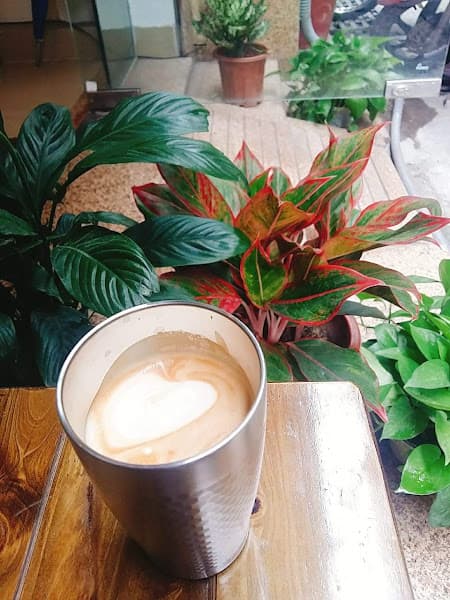 Hình ảnh Dream Beans Coffee Roastery - 4