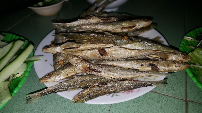 Hình ảnh Hải Lươn - 3