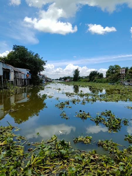 Hình ảnh Karaoke Họa Mi - 3