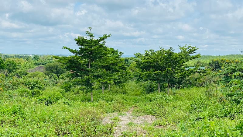 Hình ảnh Kho Trung Tâm Bách Hoá Xanh Daklak - 4