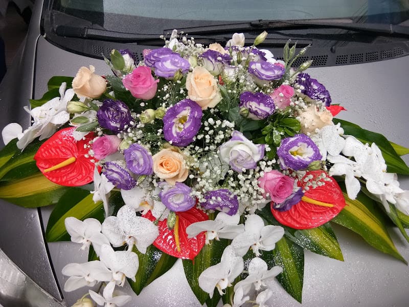 Hình ảnh Bún Bò Huế thoa - 3