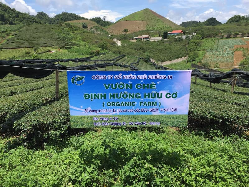 Ảnh bìa Công Ty Cổ Phần Chè Chiềng Đi