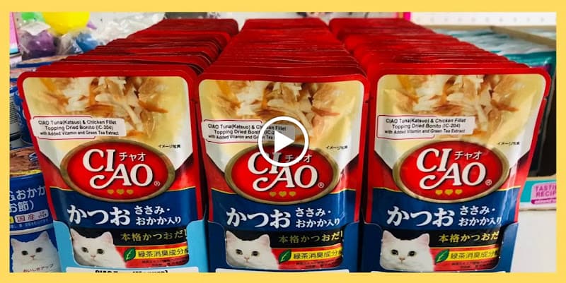 Hình ảnh Phòng Khám Thú Y RED - THÚ Y QUẬN TÂN PHÚ - 3