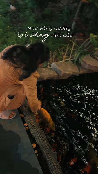 Hình ảnh EcoNature Veggie - nhà hàng chay - 2