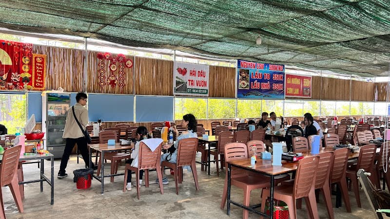 Hình ảnh Cá tầm Đà Lạt QUÁN ÁNH DƯƠNG CS2 .lẩu nướng cá tầm.Gà đồi cơm lam - 2