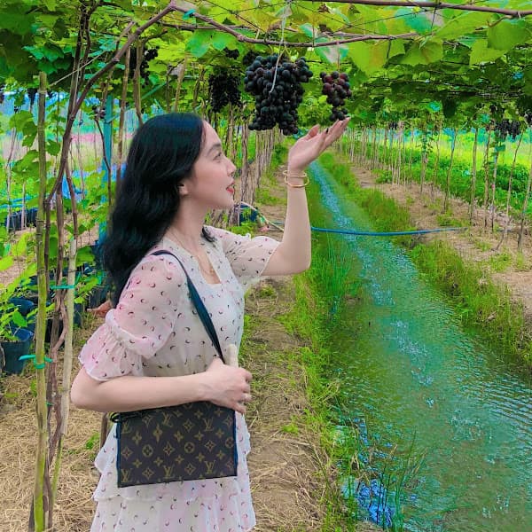 Hình ảnh Quán Hủ Tiếu - Cơm Chay - 4