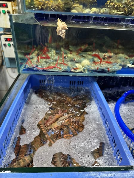 Hình ảnh CHỢ HẢI SẢN QUẢNG NINH_157 PHẠM VĂN ĐỒNG - 4