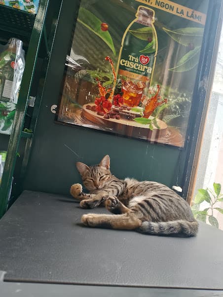 Hình ảnh Dalat Inn Laundry - Shoes N Care - 2