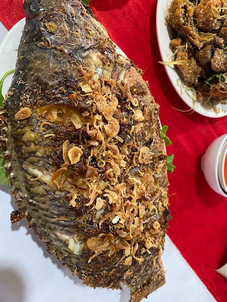 Hình ảnh Tuệ Chi Quán - 2