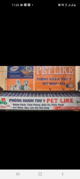 Hình ảnh PetLike -Phogf khám thú y pet shop spa lưu giữ thú cưng - 2