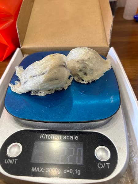 Hình ảnh Yến Sào Toàn phát - 2