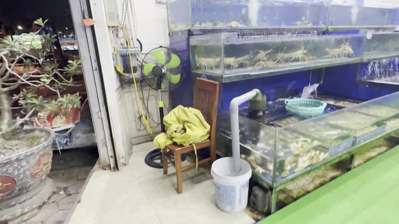 Hình ảnh Tú cá Hải sản Vân Đồn - 4