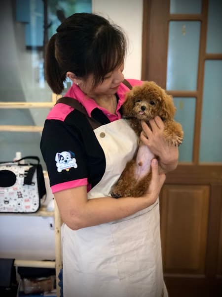 Hình ảnh Gino's Pet Shop - 4