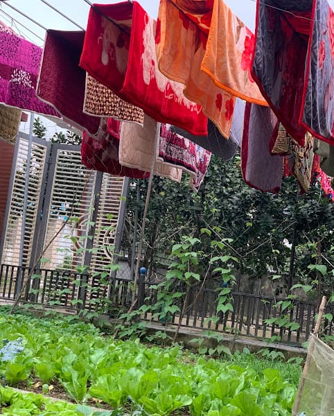 Hình ảnh Tiệm Loan Tiến Chuyên Giặt Sấy Chăn Các Loại - 5