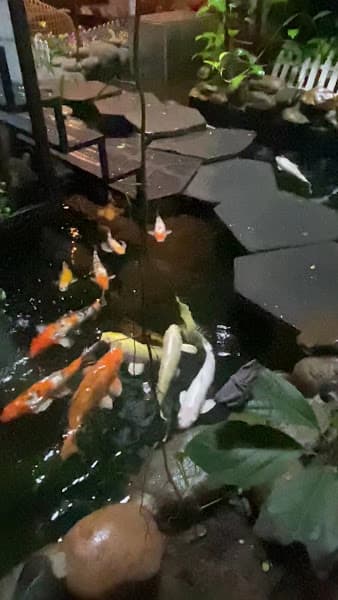 Hình ảnh Ribo Coffee - Quán Cafe Đẹp Đà Nẵng - 3