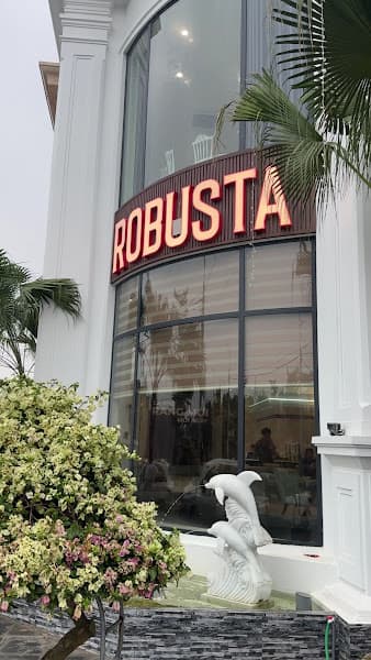 Hình ảnh 100% ROBUSTA - 2