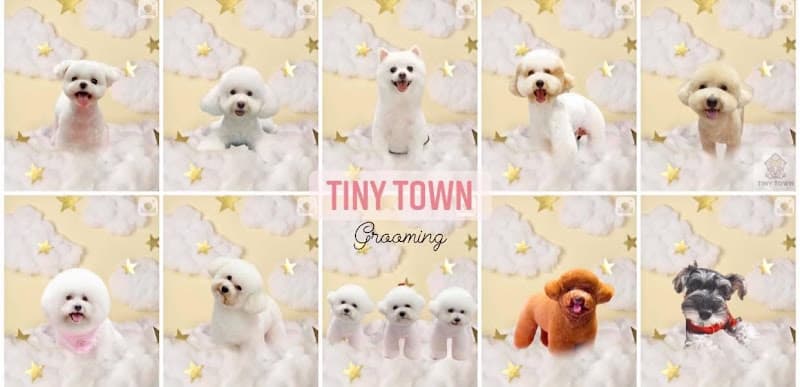 Tiệm Chăm Sóc Thú Cưng Tiny Town